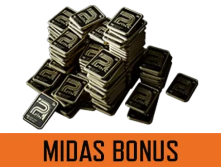 Arena Breakout Infinite 300$